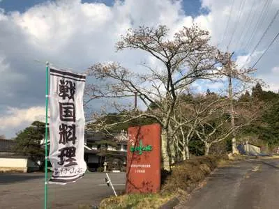 岩村城山麓　当館の桜はこれからです