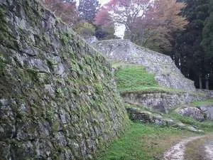歴史秘話ヒストリア~戦場の花嫁 愛に生きた女城主