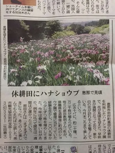 花菖蒲が見ごろです