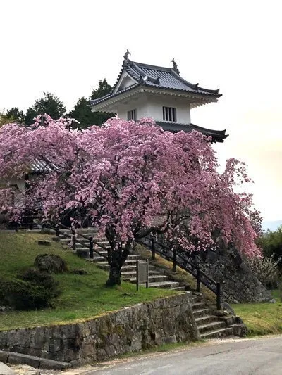 太鼓櫓の前では写真撮影をする人をよくお見かけします。