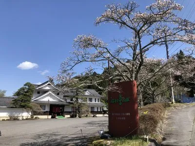館内の桜情報