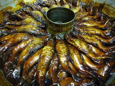 夏季限定　鮎の甘露煮の販売開始しました。