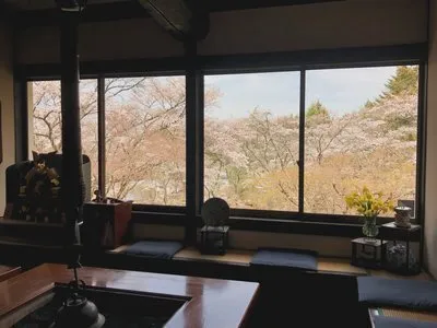 桜情報　2024年4月7日