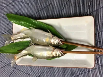 鮎に入れ替わりました