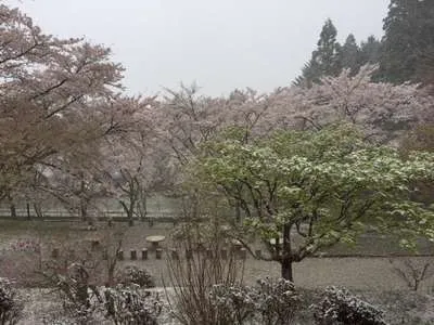 雪・桜・新緑