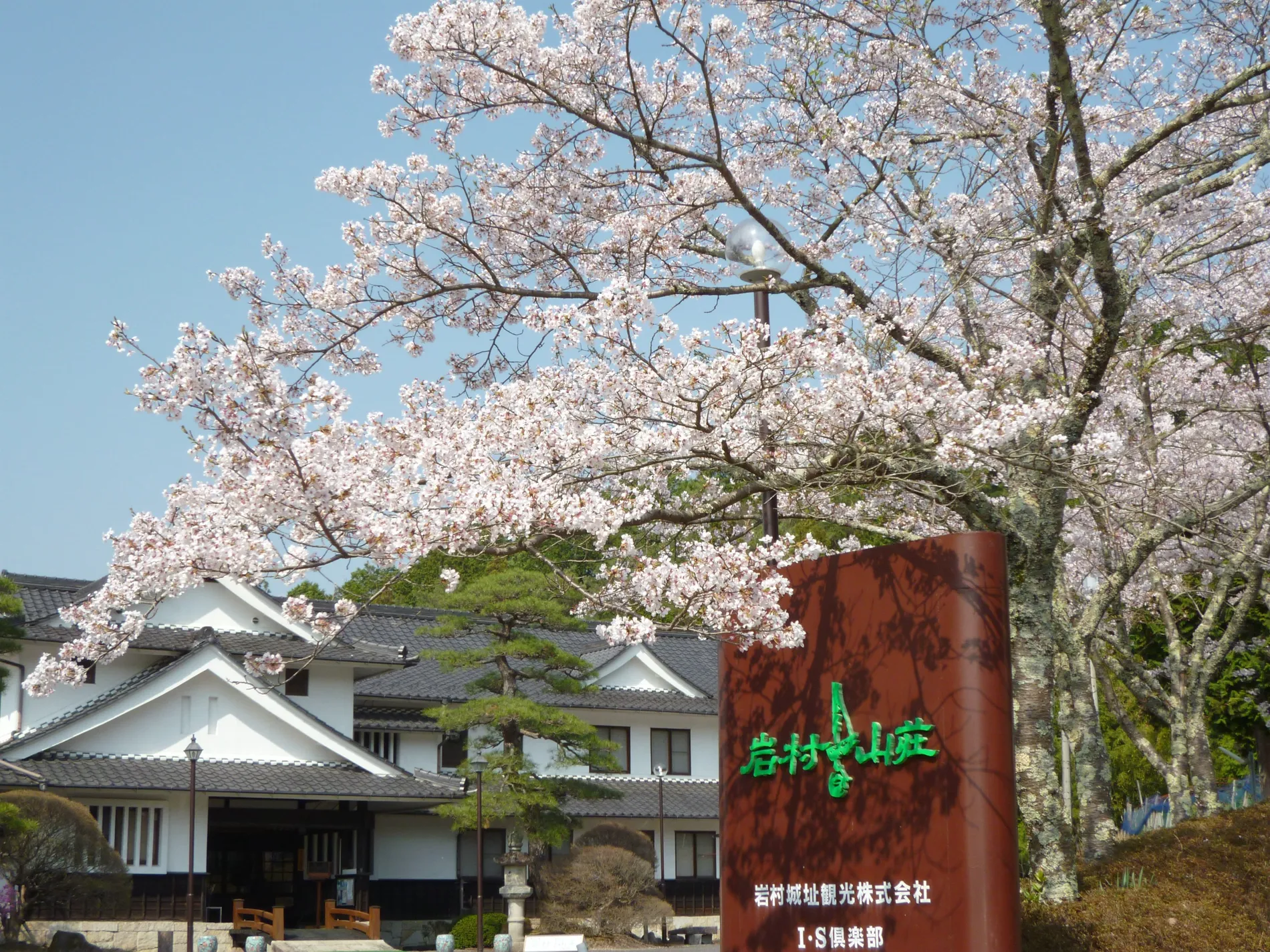 満開の桜と岩村山荘