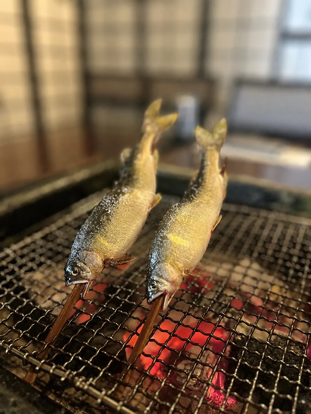鮎の炭火焼き2尾