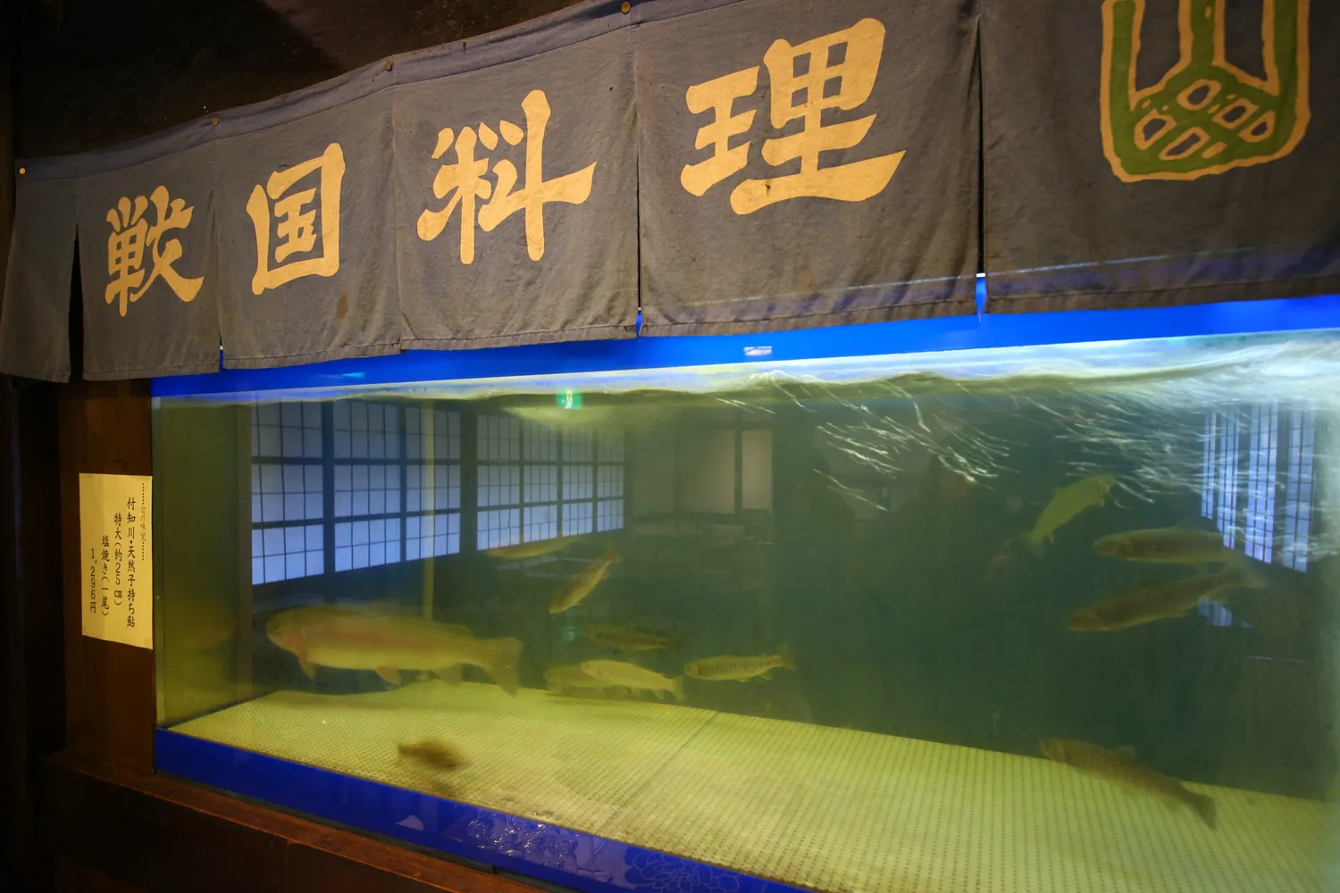 生簀で泳ぐ新鮮な鮎