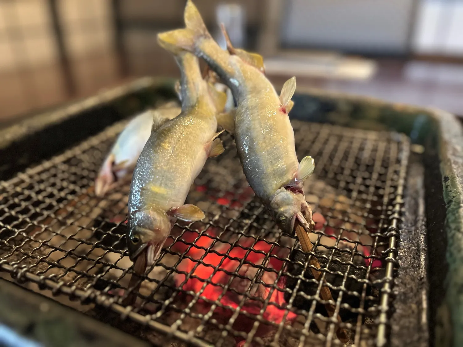 清流の天然鮎の串打ち塩焼き