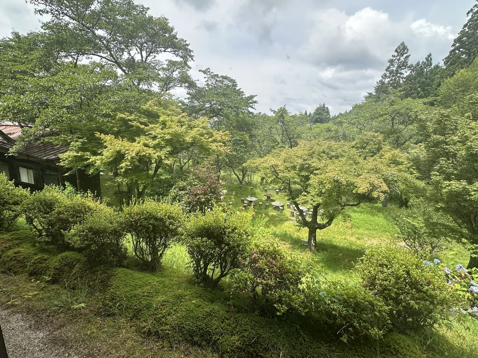 ロビーから見える庭と山の景色