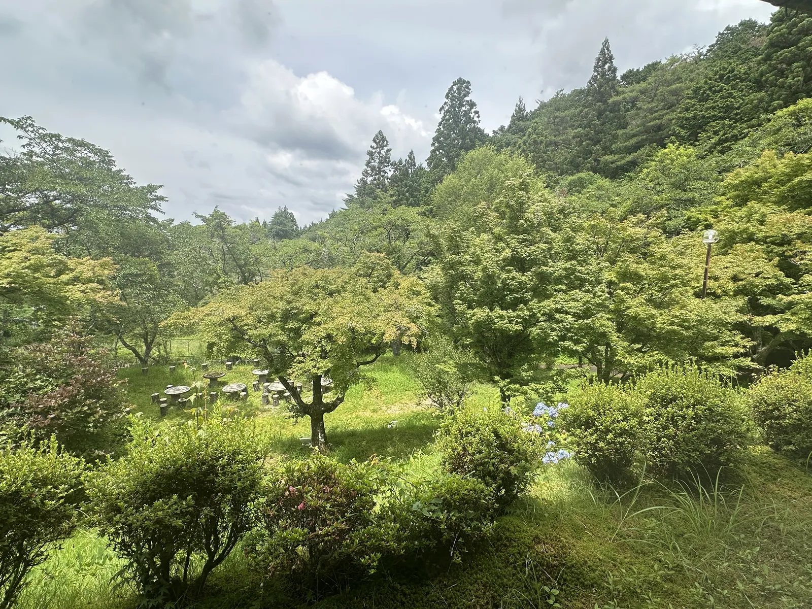 ロビーから見える花と緑の庭