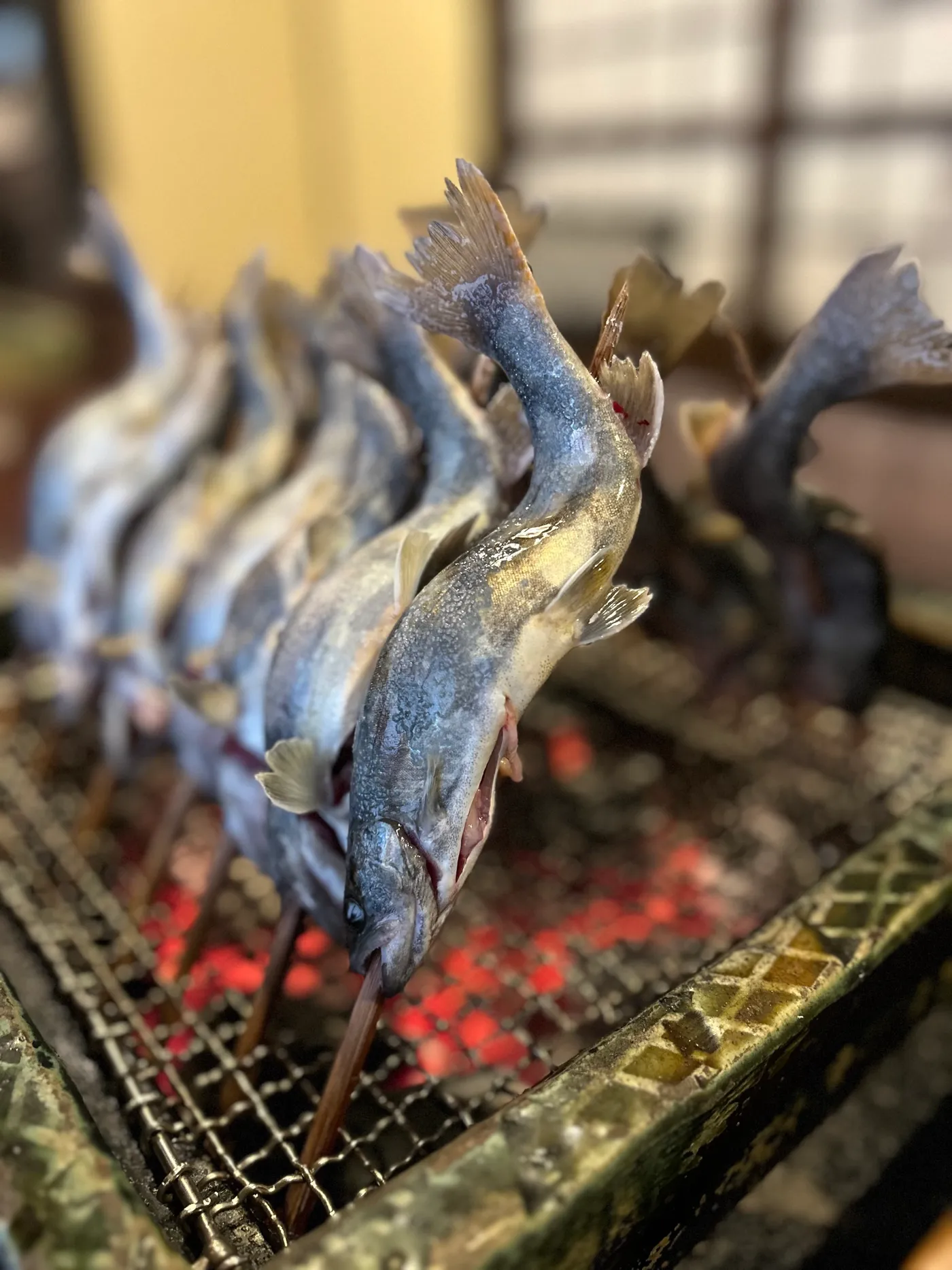 生きたまま炭火へ、川魚の塩焼き