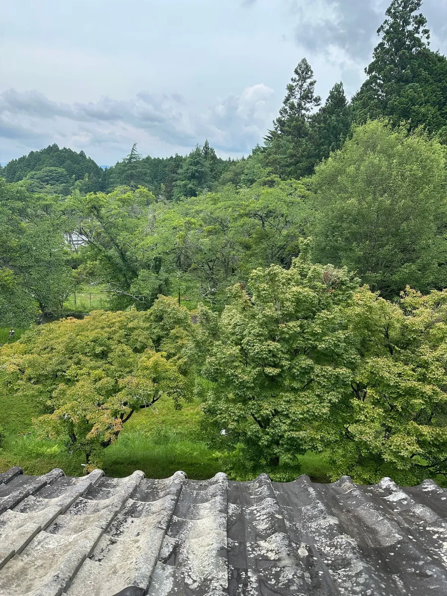 205号室(6畳)からの風景
