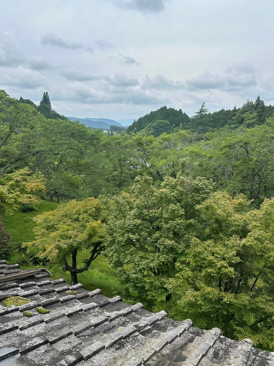 203号室(8畳)からの風景